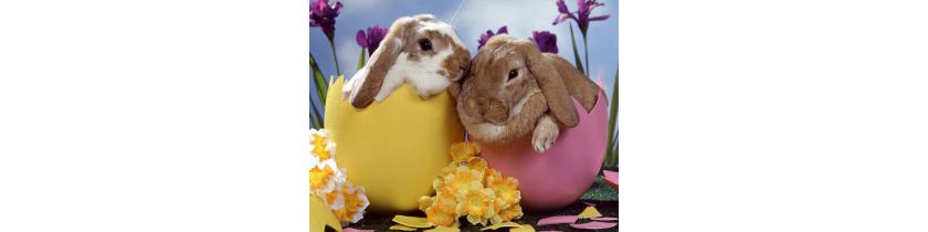 Happy Easter to all over the world