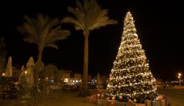 La magia del Natale...in Egitto
